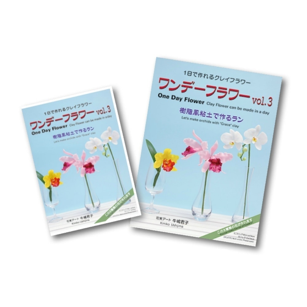 ワンデフラワーVol.3　書籍＆DVDセット